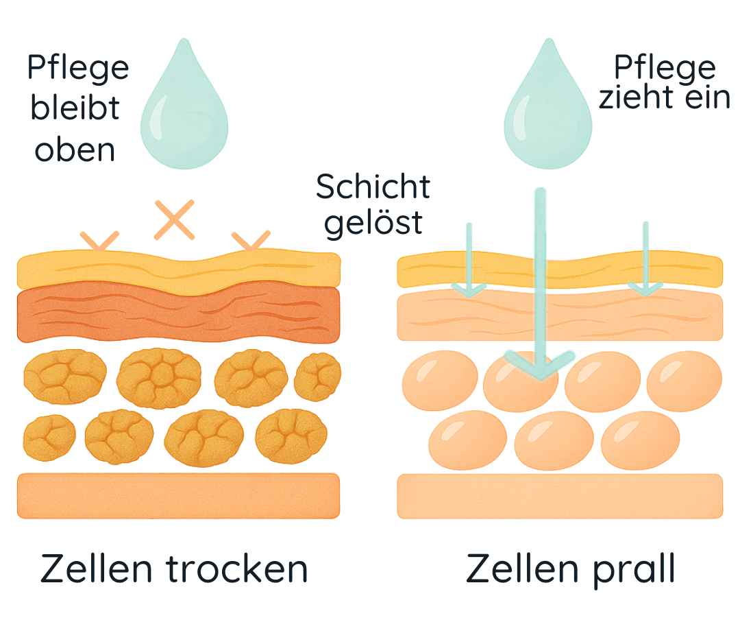 HyAge™ | Hautbarriere-System
